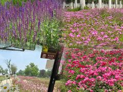 -汉长安城未央宫国家考古遗址公园