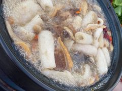 -蘑统田下·野生菌火锅