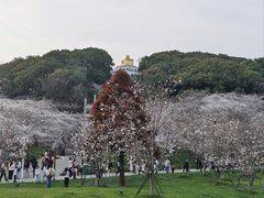 -苏州上方山国家森林公园