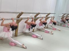 -朵拉舞蹈·少儿舞蹈·成人舞蹈(百花校区)