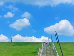 -佛手湖郊野公园