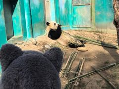 -栾川竹海野生动物园