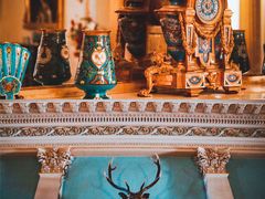 -威勒比开放式动物园