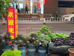 -老姐石板烧烤+铜炭火锅(总店)
