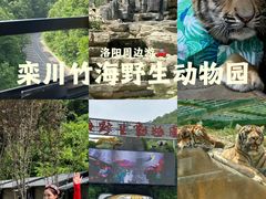 -栾川竹海野生动物园
