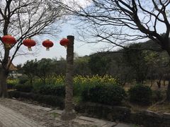 -雨花胜境