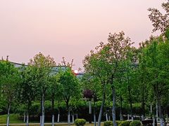 -北京国家会计学院