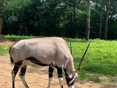 -大连森林动物园