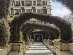 -伯衡55·吉品轩(乌鲁木齐南路店)