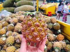 -三亚新鸿港水果一级批发市场
