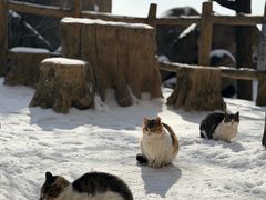 -崂山巨峰游览区