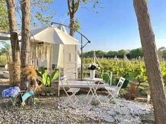 -安德鲁户外烧烤帐篷营地(马泉营店)