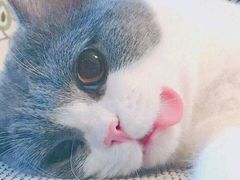 -冰火楼(梦泽园店)