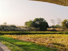 -良渚古城遗址公园