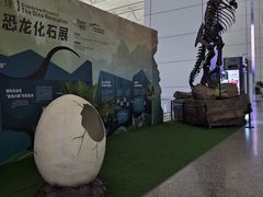 -广州白云国际机场-T2航站楼