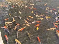 -上海玛雅海滩水公园