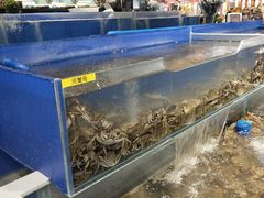 -圣罗巴海鲜自助(黑金店)