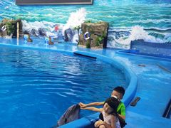 -多彩贵州城极地海洋世界