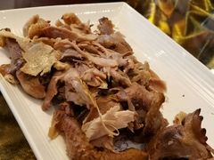 -食家鸽园