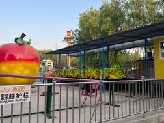 -朝阳公园游乐园