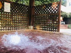 -春晖园度假酒店温泉