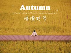 -艾米稻香小镇