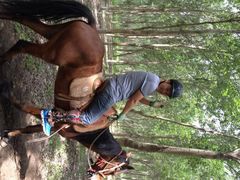 静安马场-沈阳静安马场