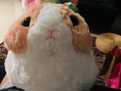 -LLJ夹机占(清河万象汇店)