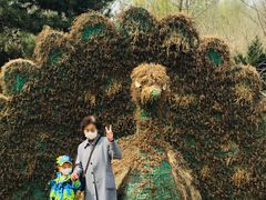 -长白岛森林公园