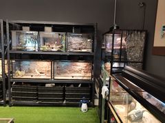 -FAIRYLAND龙族星球主题餐厅(凯丹广场店)