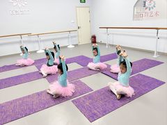 -百韵艺术少儿舞蹈培训学校(八方龙泊湾校区)