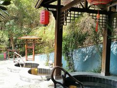 -宜春明月山维景国际温泉度假酒店