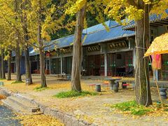 -洛阳白云山景区