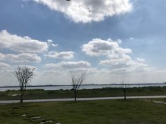 -七的湖·晚芳亭·阳澄湖农家菜·大闸蟹(莲花岛店)
