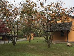 -毛泽东同志旧居