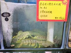 菜单-蚝专家(北滘店)