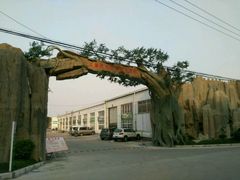 -龙大花卉苗木市场