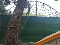-苏州太湖西山岛开心农场