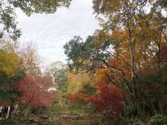 -秋霞圃