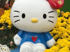 -晓港公园