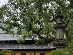 -普陀山风景名胜区-法雨禅寺