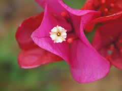 -分塔山省级森林公园