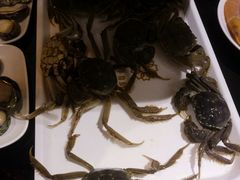 -台北A+A七喜饭店(德增街店)
