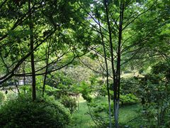-重庆平顶山公园
