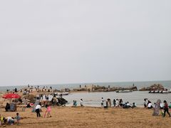 -叶存利海鲜大馅饺子(海宁路总店)