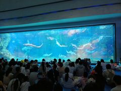 -海合安成都极地海洋公园