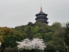 -浙江西子宾馆·牡丹厅