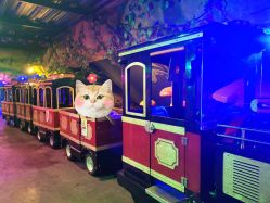 -宝燕乐园(闵行旗舰店)