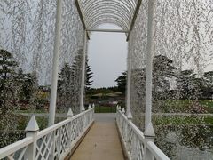 -迪茵湖田家舍生态农场