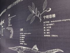 -中国湿地博物馆